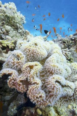  Queensland Brain Coral: An Exquisite Miniature World Pulsating with Colorful Life!